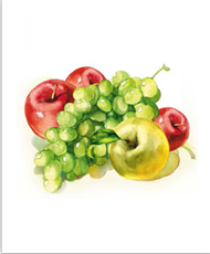 Ρόλερ Σκίασης Κουζίνας με ψηφιακή εκτύπωση Φρούτα Ε120