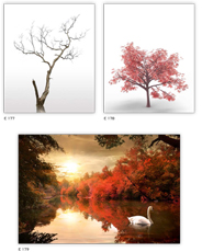 Ρόλερ Σκίασης με ψηφιακή εκτύπωση Φύση, Δέντρα E177, Ε178, Ε179