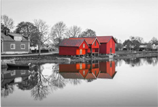 Ρόλερ Σκίασης με ψηφιακή εκτύπωση Κόκκινα σπίτια E243
