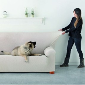 ΔΙΠΛΗΣ ΕΛΑΣΤΙΚΟΤΗΤΑΣ