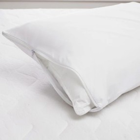 ΠΡΟΣΤΑΤΕΥΤΙΚΑ ΜΑΞΙΛΑΡΙΟΥ