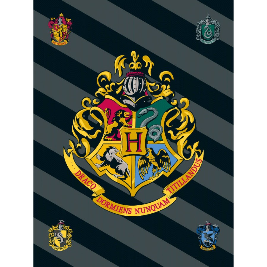 Κουβέρτα Παιδική Καναπέ (100x150) Fleece Borea Disney Harry Potter