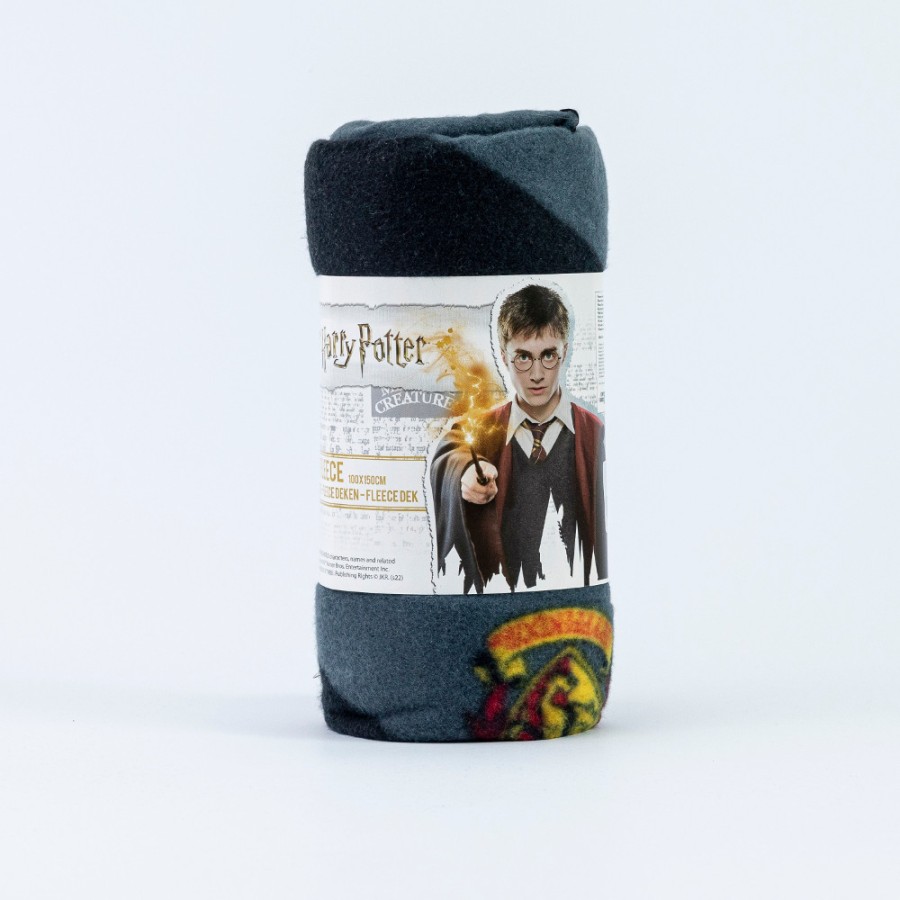 Κουβέρτα Παιδική Καναπέ (100x150) Fleece Borea Disney Harry Potter
