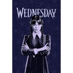 Κουβέρτα Παιδική Καναπέ (100x150) Fleece Borea Disney Wednesday