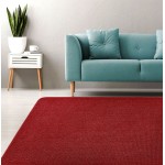 Μοκέτα στα Μέτρα σας με Αντιολισθητικό Υπόστρωμα Newhome Chloe (Κλοέ) 24 Βυσσινί