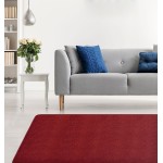 Μοκέτα (160x230) με Αντιολισθητικό Υπόστρωμα Newhome Hamilton (Χάμιλτον) 24 Βυσσινί