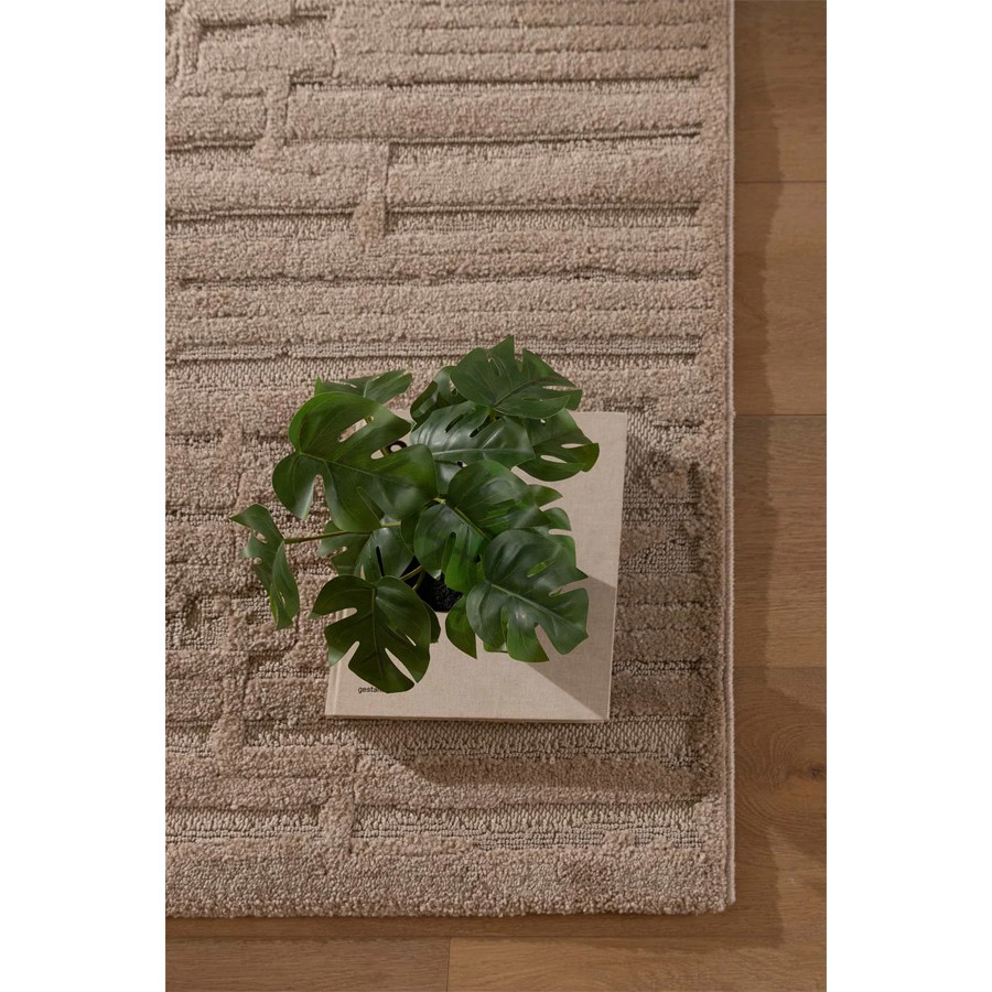 Χαλί Μοντέρνο Ανάγλυφο (200x290) Μηχανοποίητο Royal Carpet Chiara 22001Y Brown