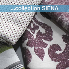 Συλλογή Siena